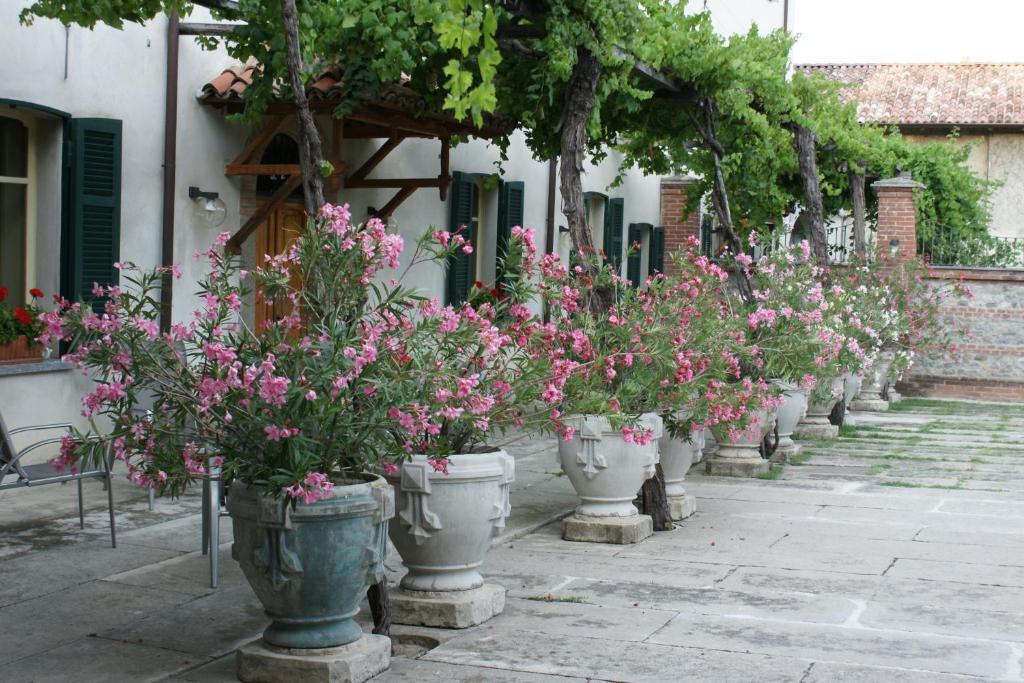 Tenuta Terensano Monleale Luaran gambar