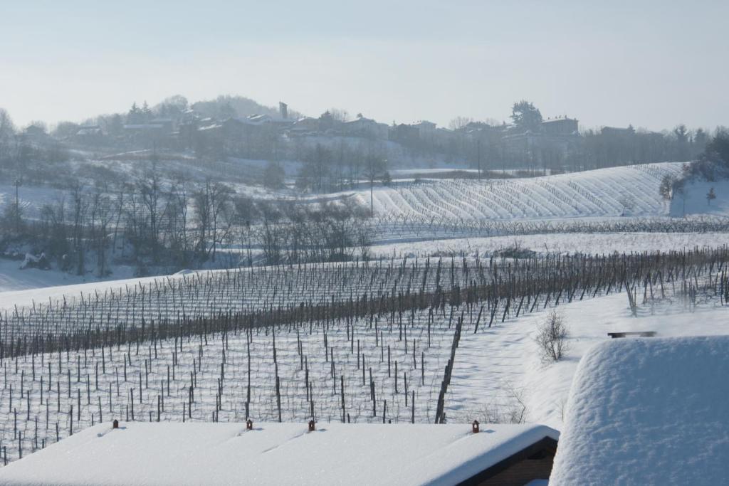 Tenuta Terensano Monleale Luaran gambar