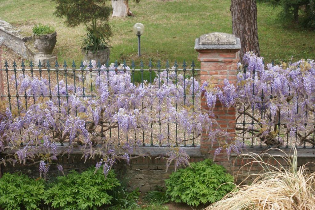 Tenuta Terensano Monleale Luaran gambar